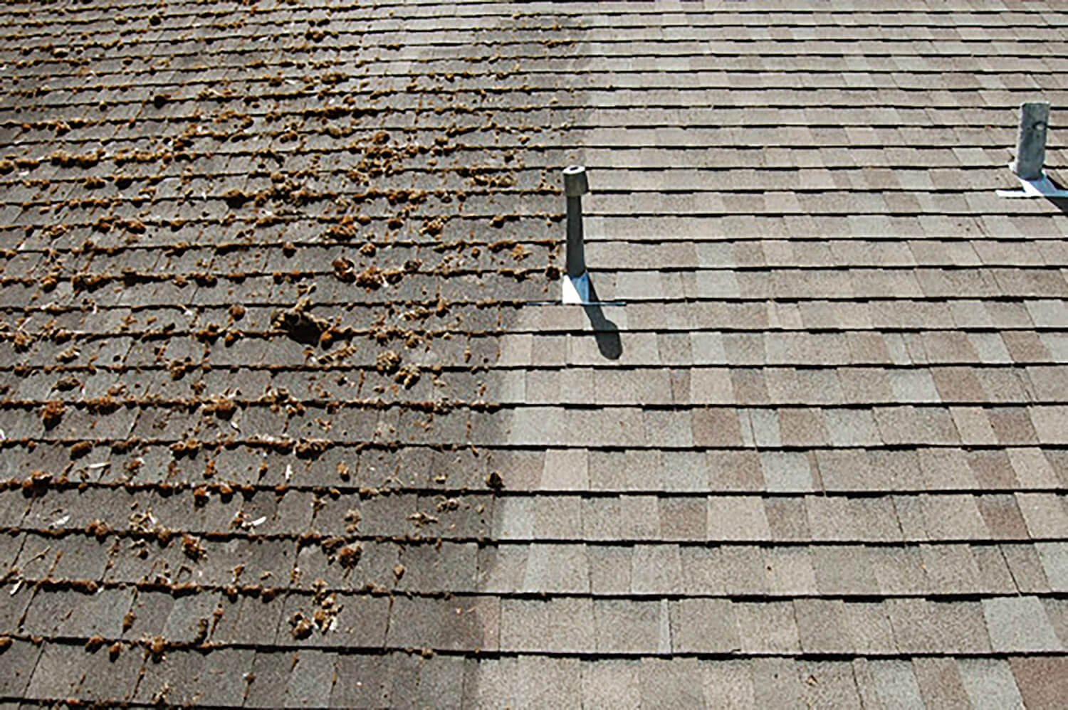 cleaning a roof
